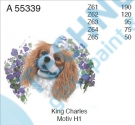 A 55339 Z63 3/95 KING CHARLES