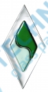 RFULD29 - Fusion - Green waves on clear diamond